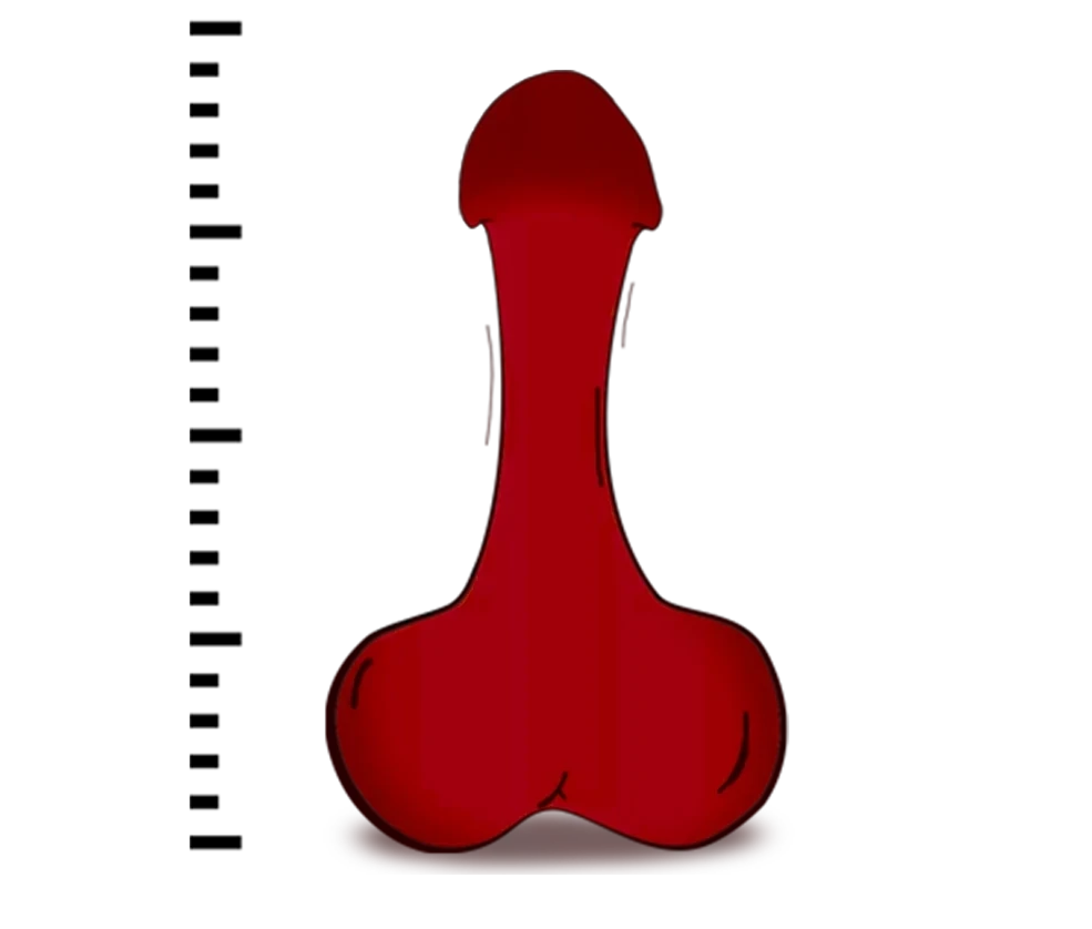 Penis size consultation